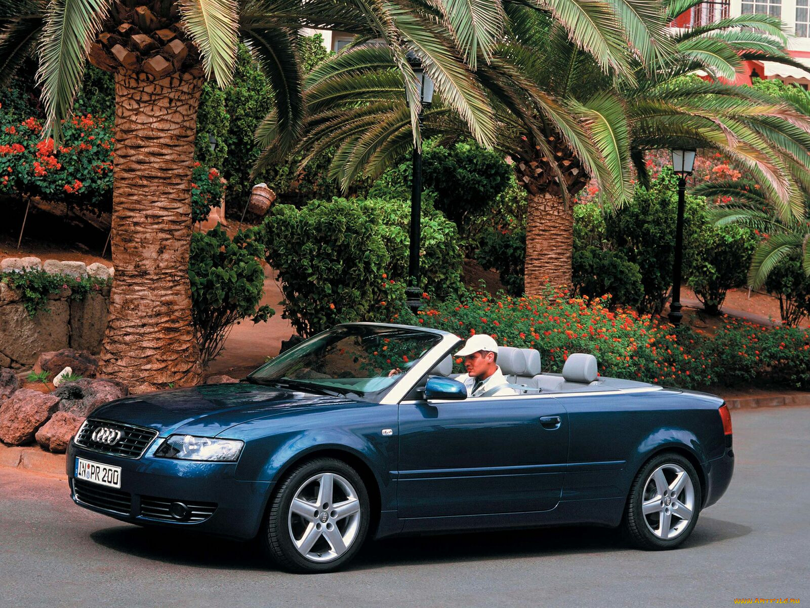 , audi